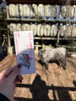 大石神社の写真・動画_image_800123