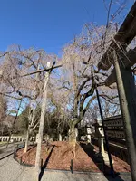 大石神社の写真・動画_image_800126