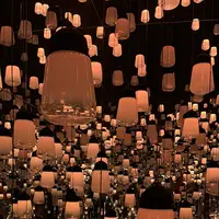 チームラボ バイオヴォルテックス 京都の写真・動画_image_800185