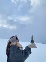 クリスマスツリーの木の写真・動画_image_801305