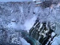 白ひげの滝の写真・動画_image_801307