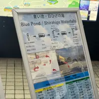 白ひげの滝の写真・動画_image_801308