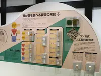 あやべグンゼスクエアの写真・動画_image_80298