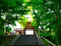 安国寺の写真・動画_image_80304