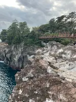 城ヶ崎海岸の写真・動画_image_803085