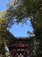 久能山東照宮の写真・動画_image_803205