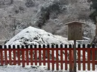 蛍岩の写真・動画_image_803449