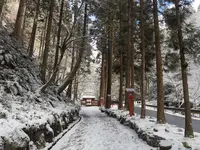 貴船神社 奥宮の写真・動画_image_803466