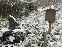 貴船神社 中宮 結社の写真・動画_image_803520