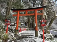 貴船神社 中宮 結社の写真・動画_image_803523