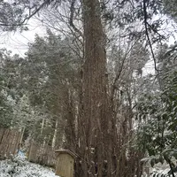 貴船神社 中宮 結社の写真・動画_image_803524