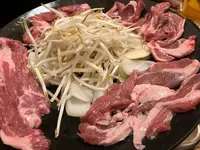 網走生ラムジンギスカンフラミンゴの写真・動画_image_804824