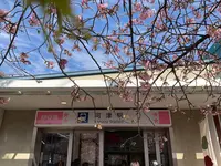 河津駅の写真・動画_image_804873