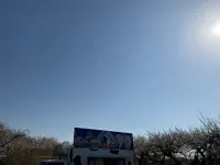 小田原牧場アイス工房の写真・動画_image_804973