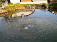 辻川山公園の写真・動画_image_80533