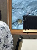 谷地温泉の写真・動画_image_805383