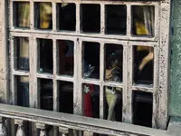 耳をすませば 青春のポストの写真・動画_image_805977