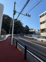 いろは坂の写真・動画_image_805987