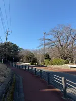 いろは坂桜公園の写真・動画_image_805990