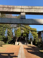 金比羅宮の写真・動画_image_805992