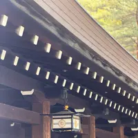 明治神宮の写真・動画_image_806387