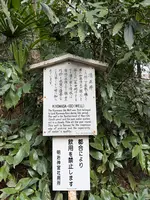 清正井の写真・動画_image_806389