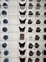 LUSH 原宿表参道店の写真・動画_image_806398