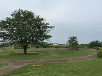 三里塚さくらの丘の写真・動画_image_80647