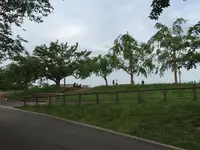 さくらの山公園の写真・動画_image_80649