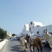 サントリニ島の写真・動画_image_80686