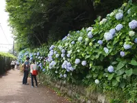 飛鳥山公園の写真・動画_image_80728