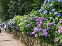 飛鳥山公園の写真・動画_image_80731