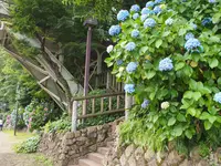 飛鳥山公園の写真・動画_image_80732