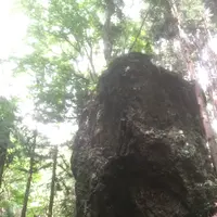 正丸駅の写真・動画_image_80763