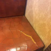 きゃんどるの写真・動画_image_80788