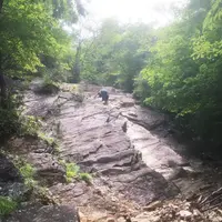 正丸峠の写真・動画_image_80804