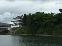 名古屋城の写真・動画_image_80912