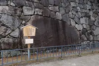 名古屋城の写真・動画_image_80931