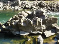 立木音楽堂の写真・動画_image_80936