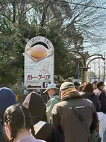 ガトー・プーリアの写真・動画_image_809664