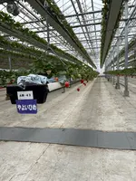 グランベリー大地の写真・動画_image_809771