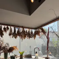 FLOTOの写真・動画_image_810205