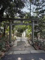 代々木八幡宮の写真・動画_image_810215