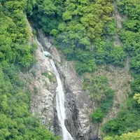 神戸布引ハーブ園/ロープウェイの写真・動画_image_81046