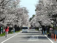 金銀花酒造(株)の写真・動画_image_810594