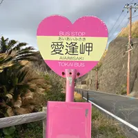 あいあい岬の写真・動画_image_810980