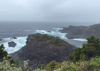 石廊崎 熊野神社の写真・動画_image_810985