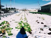 朝霞市役所 産業文化センターの写真・動画_image_81148