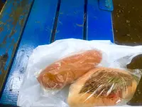 南割公園の写真・動画_image_81187