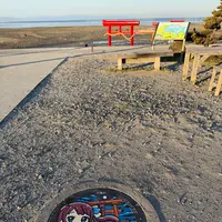 海中鳥居の写真・動画_image_811917